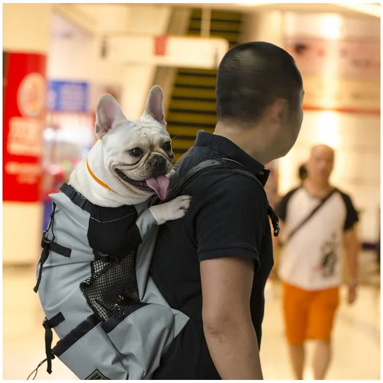 Hiking Pet Dog Carrier Travel Backpack