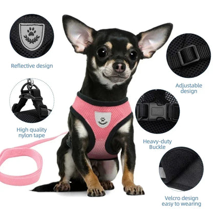 Adjustable Mesh Pet Harness & Leash