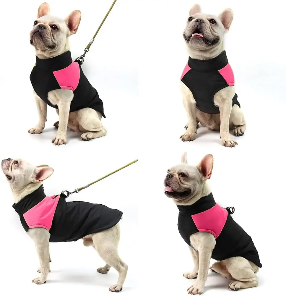 Waterproof Dog Coats