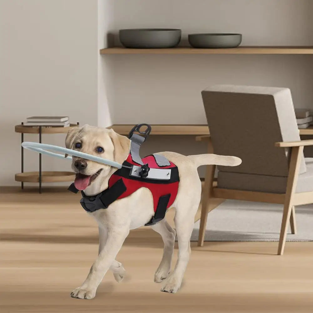 Blind Dog Harness Guiding