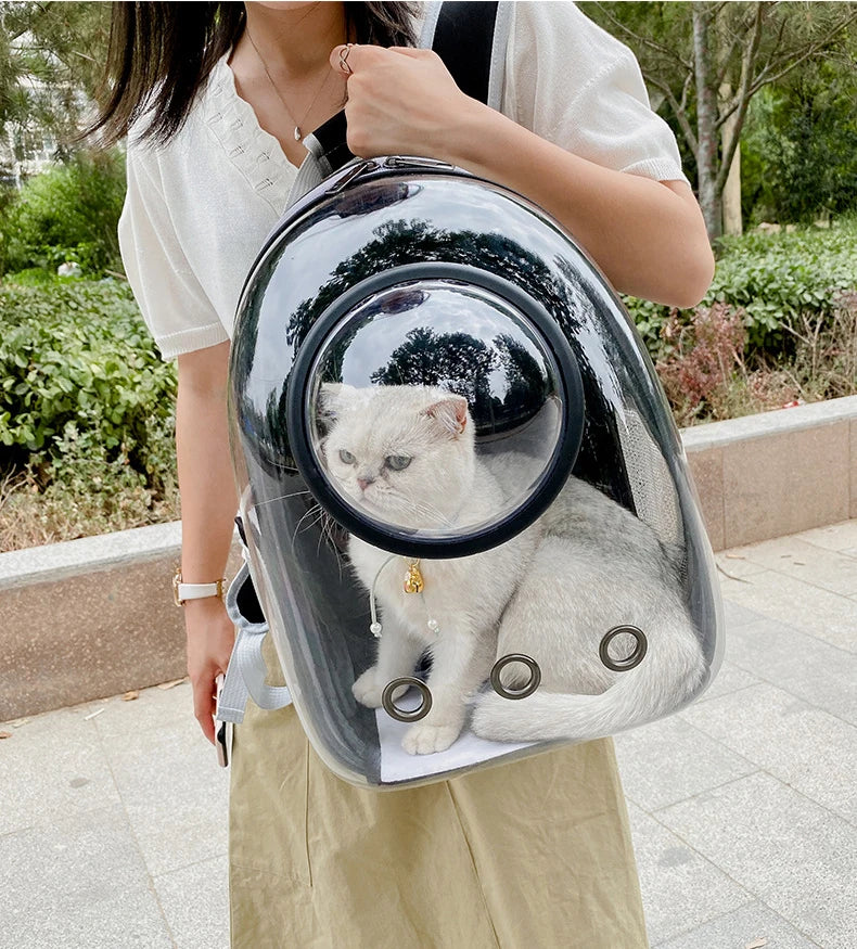 Transparent Carrying Bags