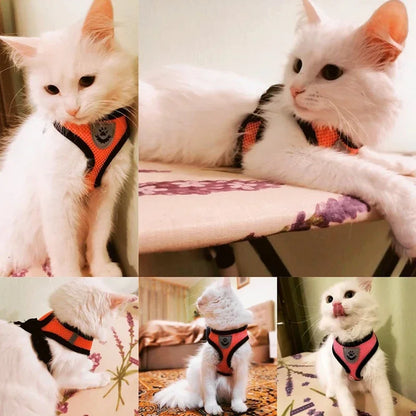 Adjustable Mesh Pet Harness & Leash