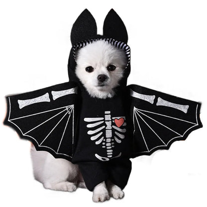 Halloween pet customs