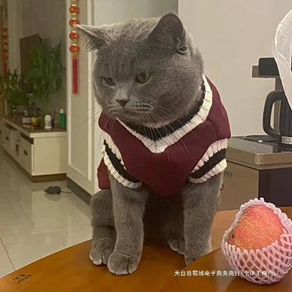 Cat Clothes Autumn sweaters