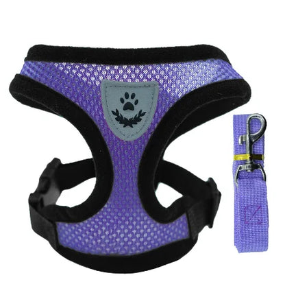 Adjustable Mesh Pet Harness & Leash