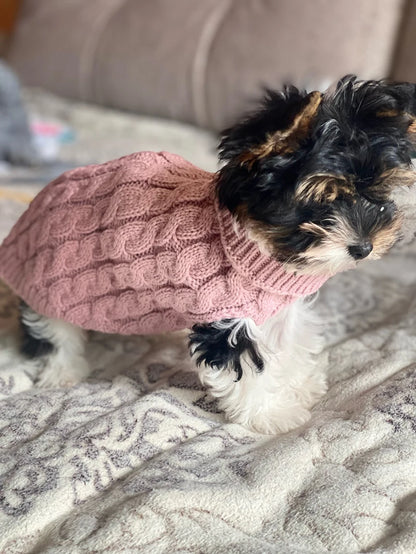 Puppy Dog, cats Sweaters