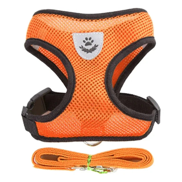 Adjustable Mesh Pet Harness & Leash