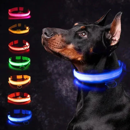 LED Dog Collar