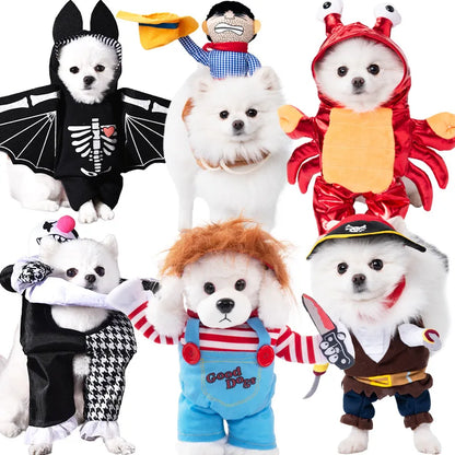 Halloween pet customs