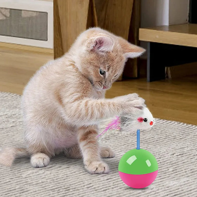 Interactive Cat Toy Set