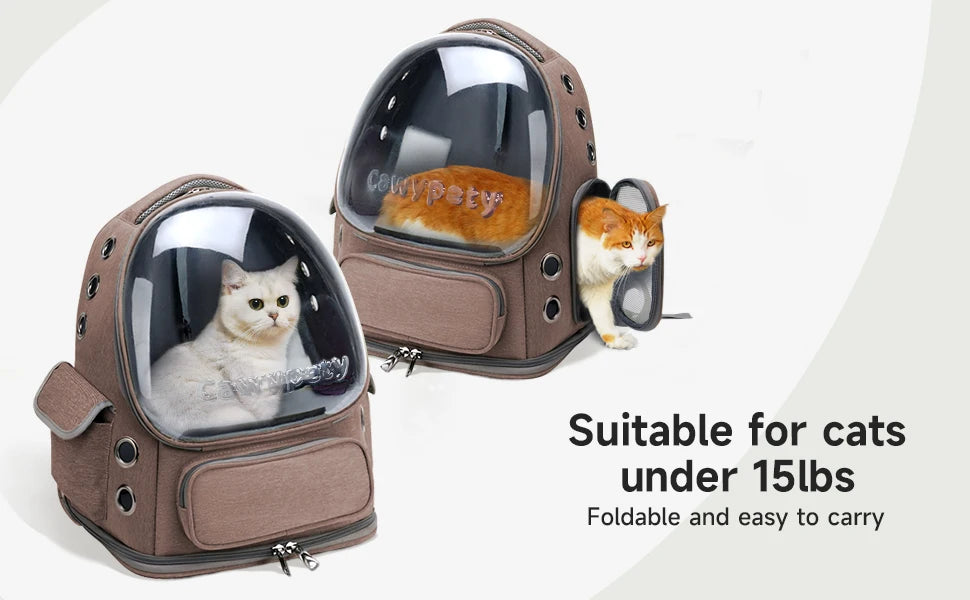 Transparent Folding Pet Carrier Backpack