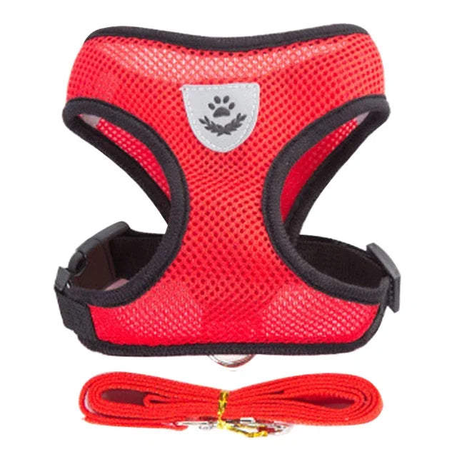 Adjustable Mesh Pet Harness & Leash