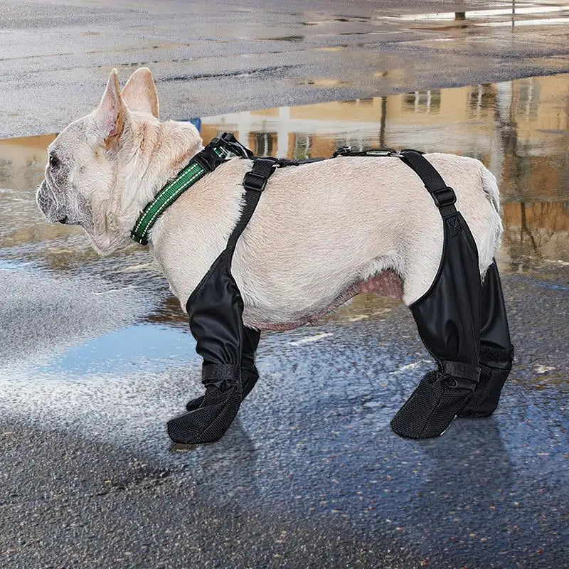 Dog Shoes Waterproof Adjustable Dog Boots