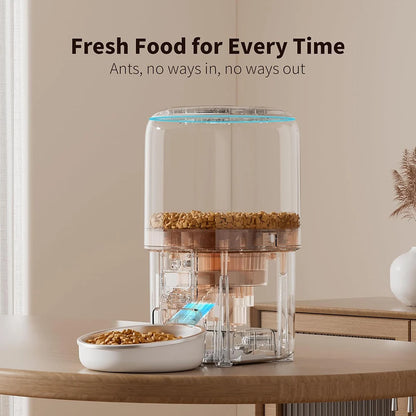 Automatic feeders Video Food Feeding Bowls