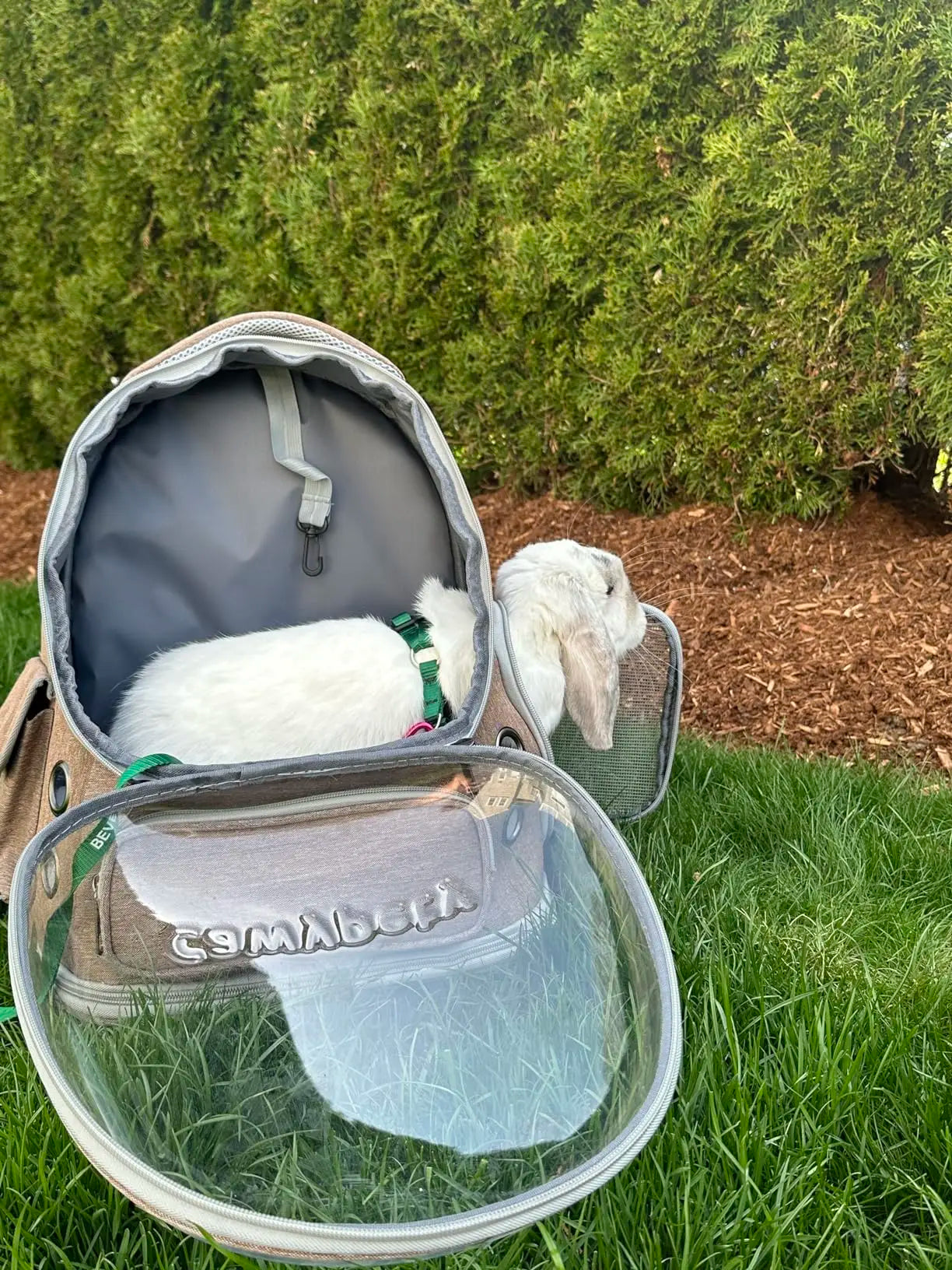 Transparent Folding Pet Carrier Backpack