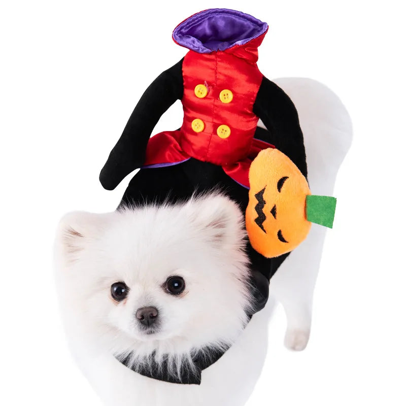 Halloween pet customs