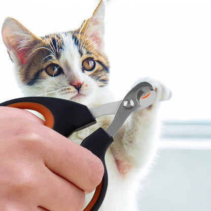 Stainless Steel Pet Nail Scissors