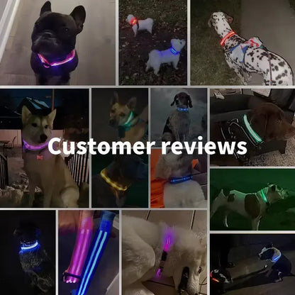 LED Dog Collar