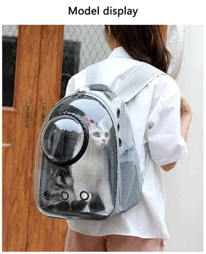 Transparent Carrying Bags