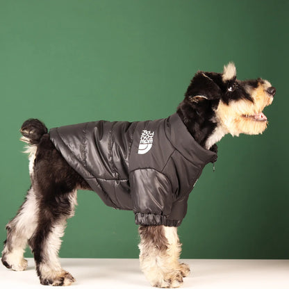 Winter Pet Dog jacket