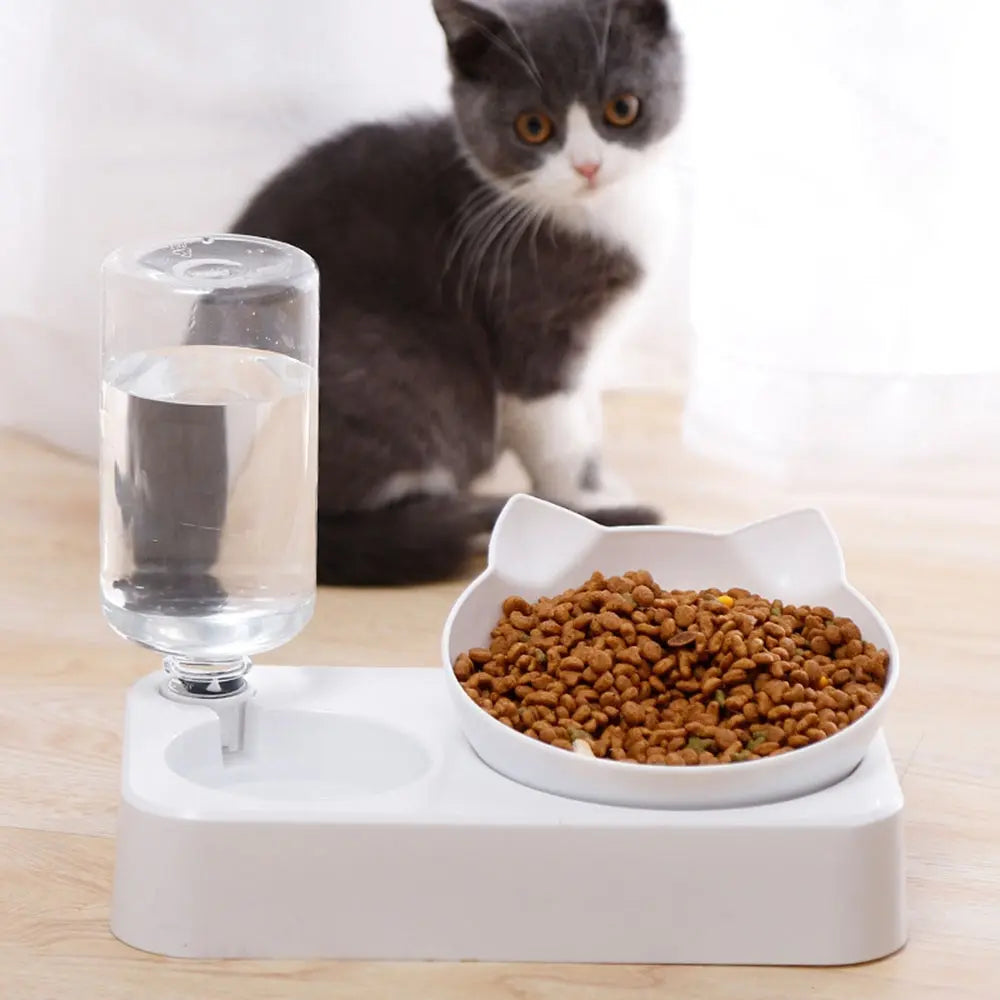 Tilted Pet Bowl – 15° Elevated Feeding Dish