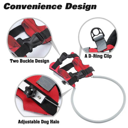 Blind Dog Harness Guiding