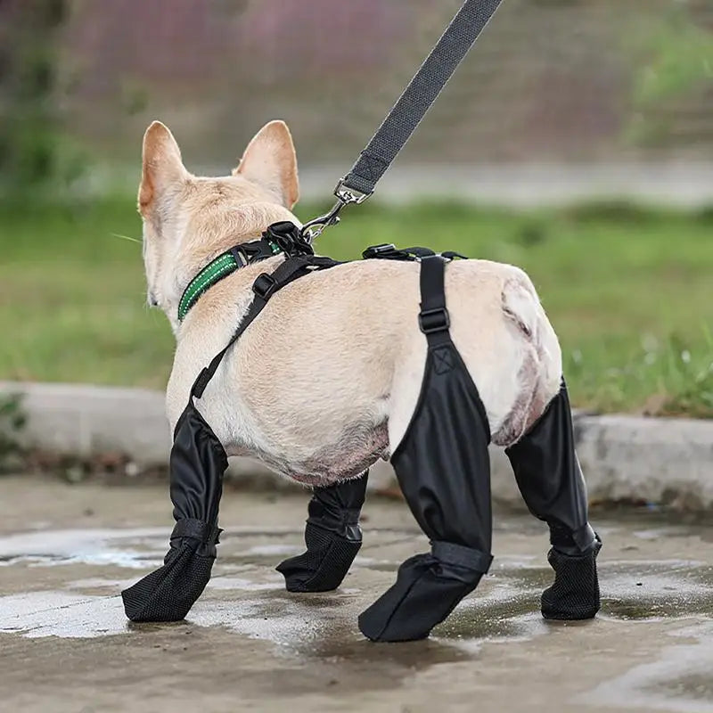 Dog Shoes Waterproof Adjustable Dog Boots