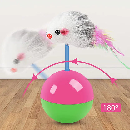 Interactive Cat Toy Set