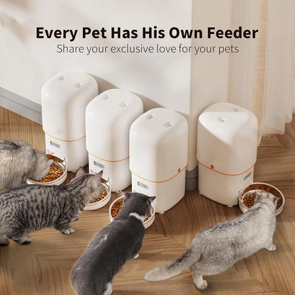 Automatic feeders Video Food Feeding Bowls