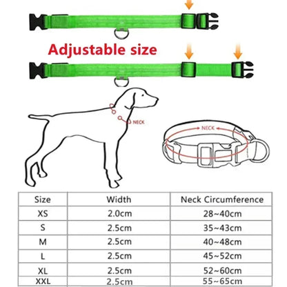 LED Dog Collar