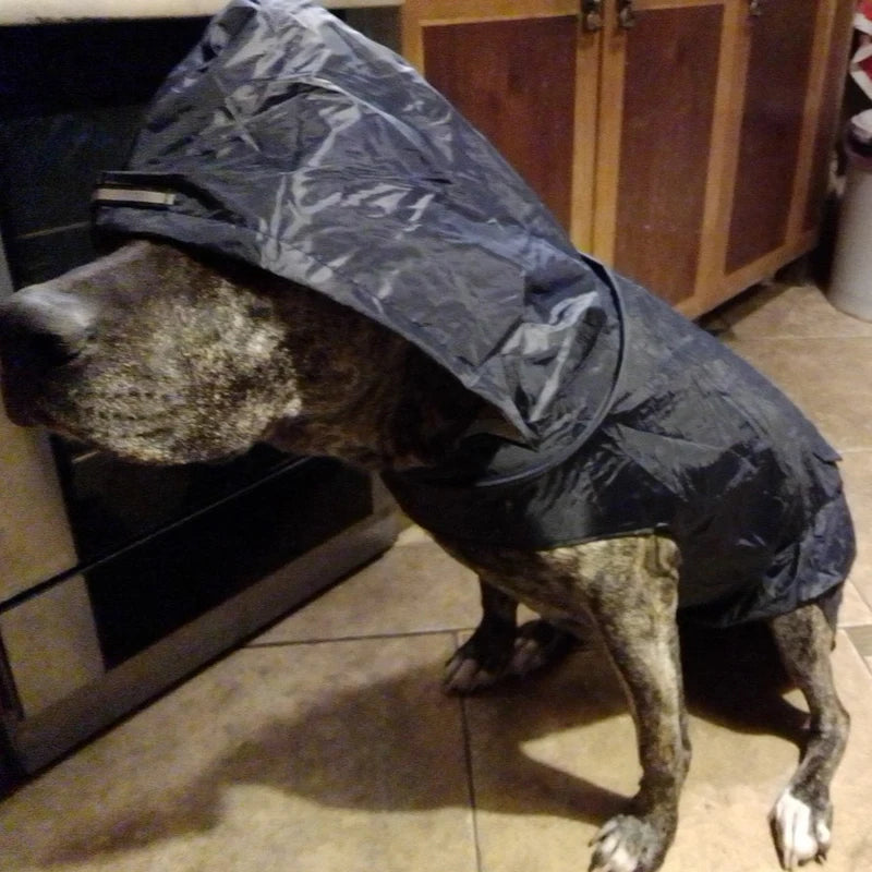 Dog Raincoat Waterproof