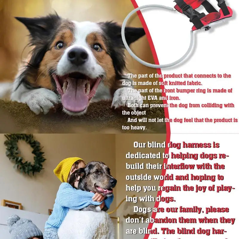 Blind Dog Harness Guiding