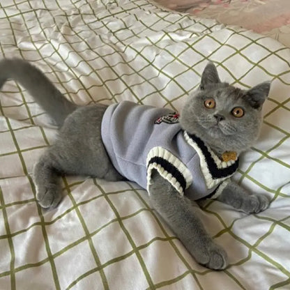 Cat Clothes Autumn sweaters