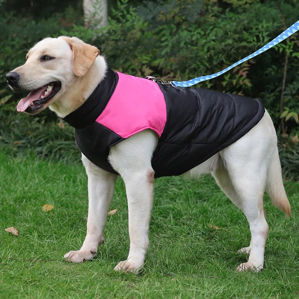 Waterproof Dog Coats