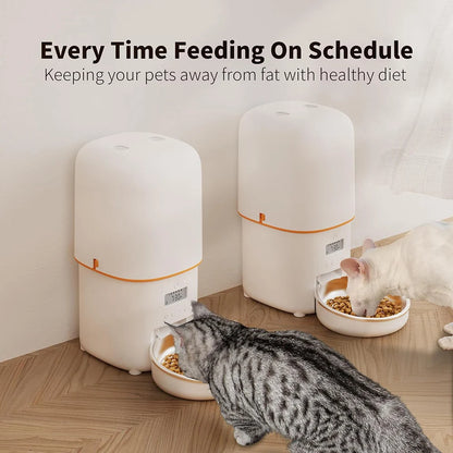 Automatic feeders Video Food Feeding Bowls