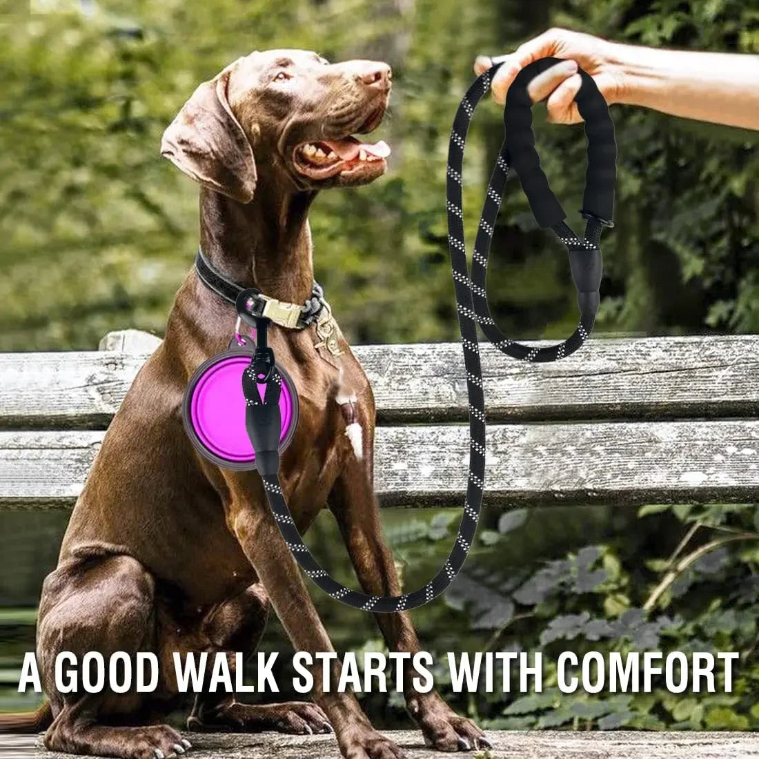 Durable Reflective Dog Leash